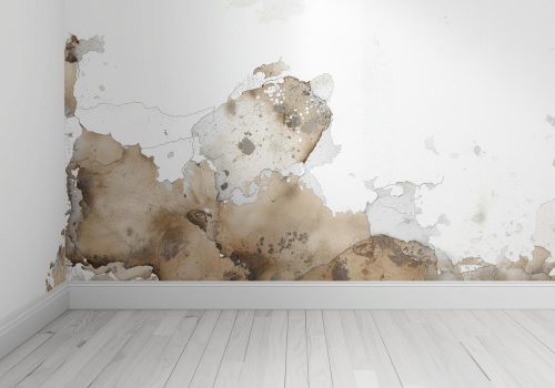 Traitement humidité Labenne : Mur intérieur endommagé par le salpêtre