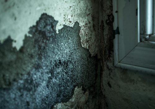 Problème d'Humidité